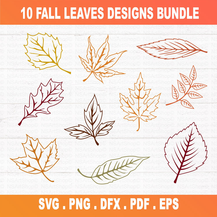 Autumn and Fall leaves SVG bundle. outline autumn leaves cut files