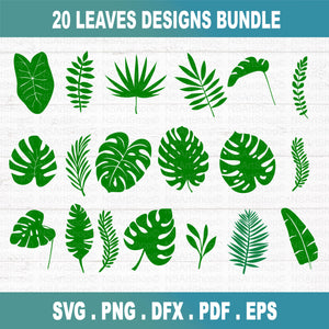 Tropical Flower And Leaves SVG Bundle